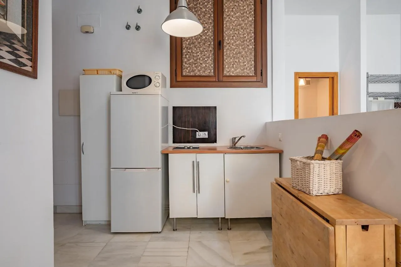 Dona Elvira Carreteria Apartment Malaga